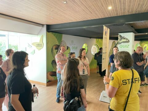 Survivors und Schmetterlinge 